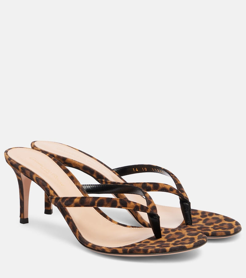 Gianvito Rossi Calypso 70 suede thong sandals