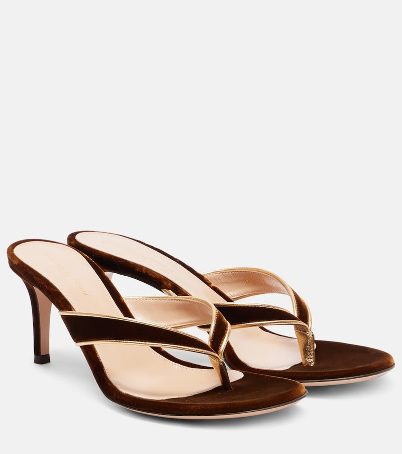 Gianvito Rossi Calypso 70 velvet thong sandals