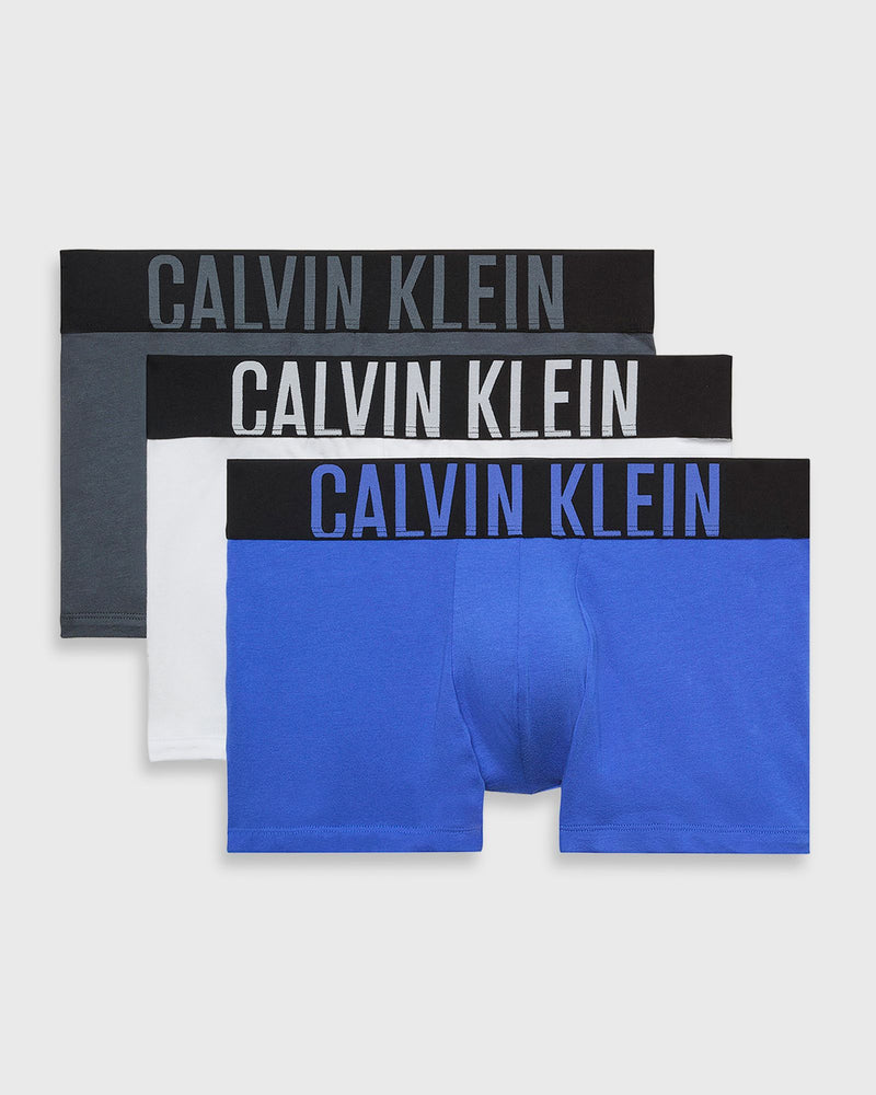 Calvin Klein Underwear Intense Power Ctn 3P Multi