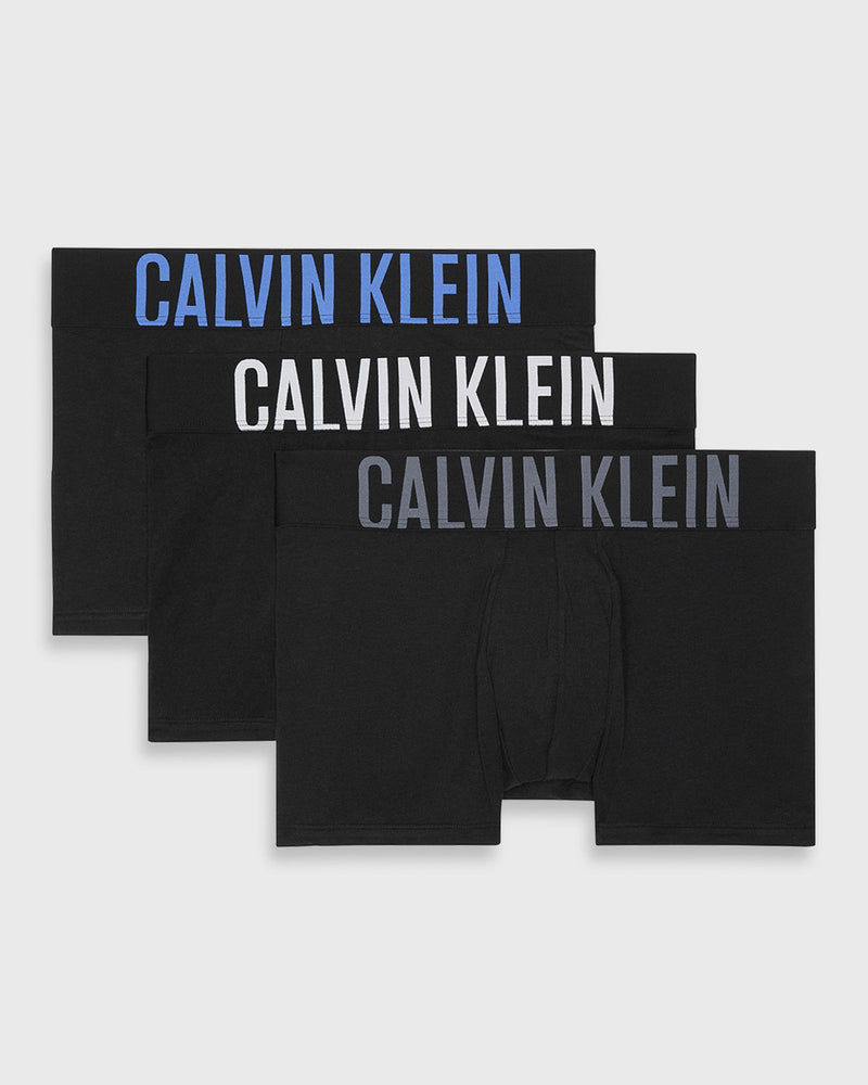 Calvin Klein Underwear Intense Power Ctn 3P Black