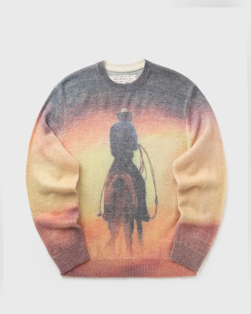 One of These Days But That Was a Dream Knit Sweater Multi