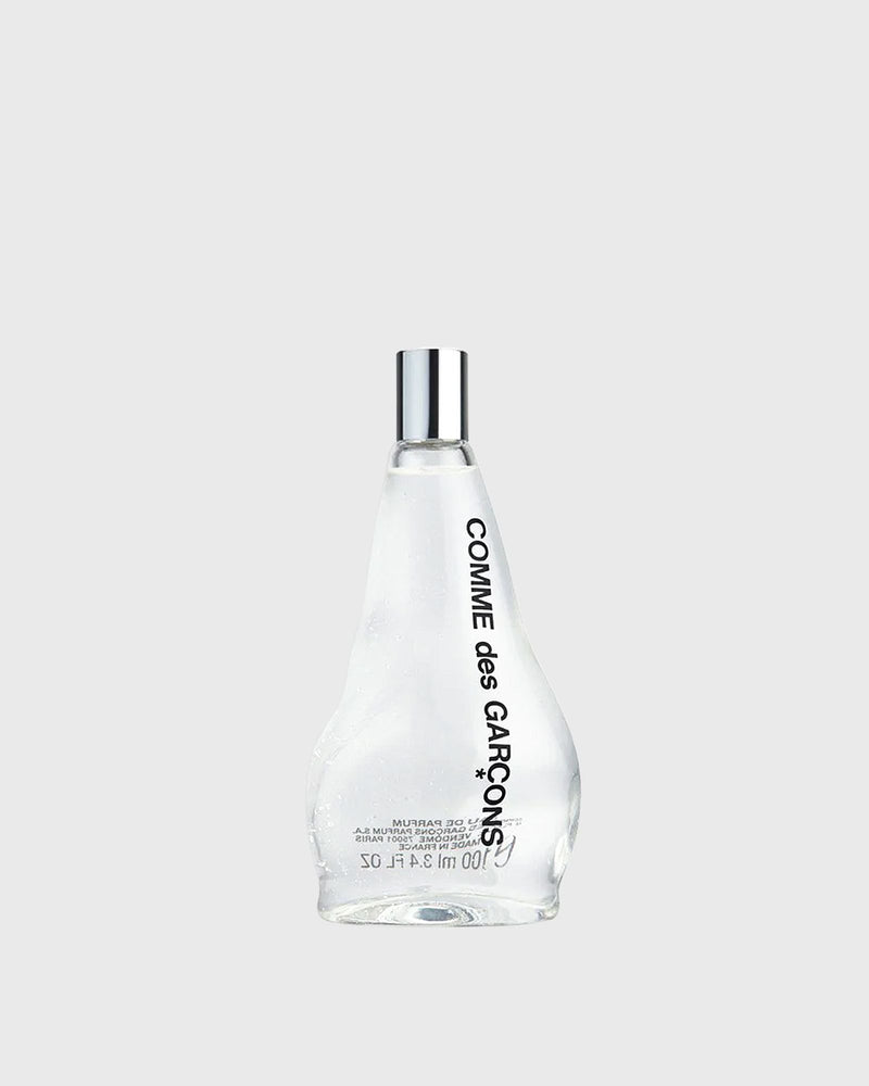 Comme des Garçons Parfum Comme des Garçons Eau de Parfum - 100 Ml Multi