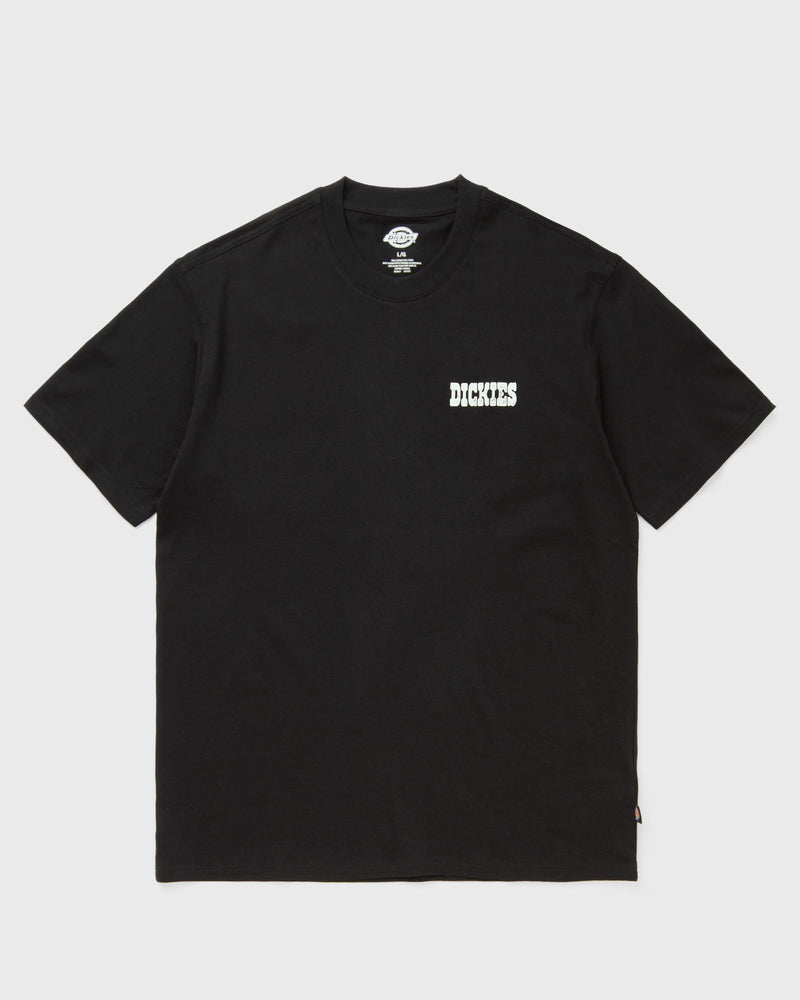 Dickies Plain City Ss Tee Black