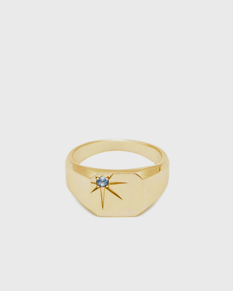 Serge Denimes Gold Guardian Ring