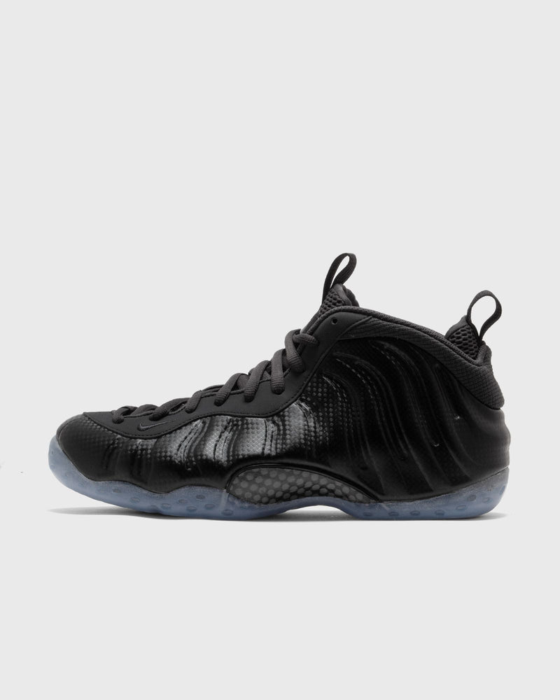 Nike Air Foamposite One Multi