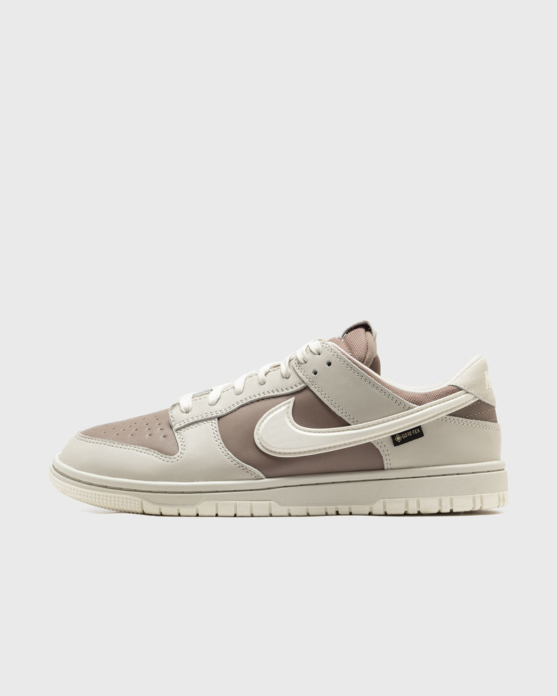 Nike Dunk Low GTX Grey