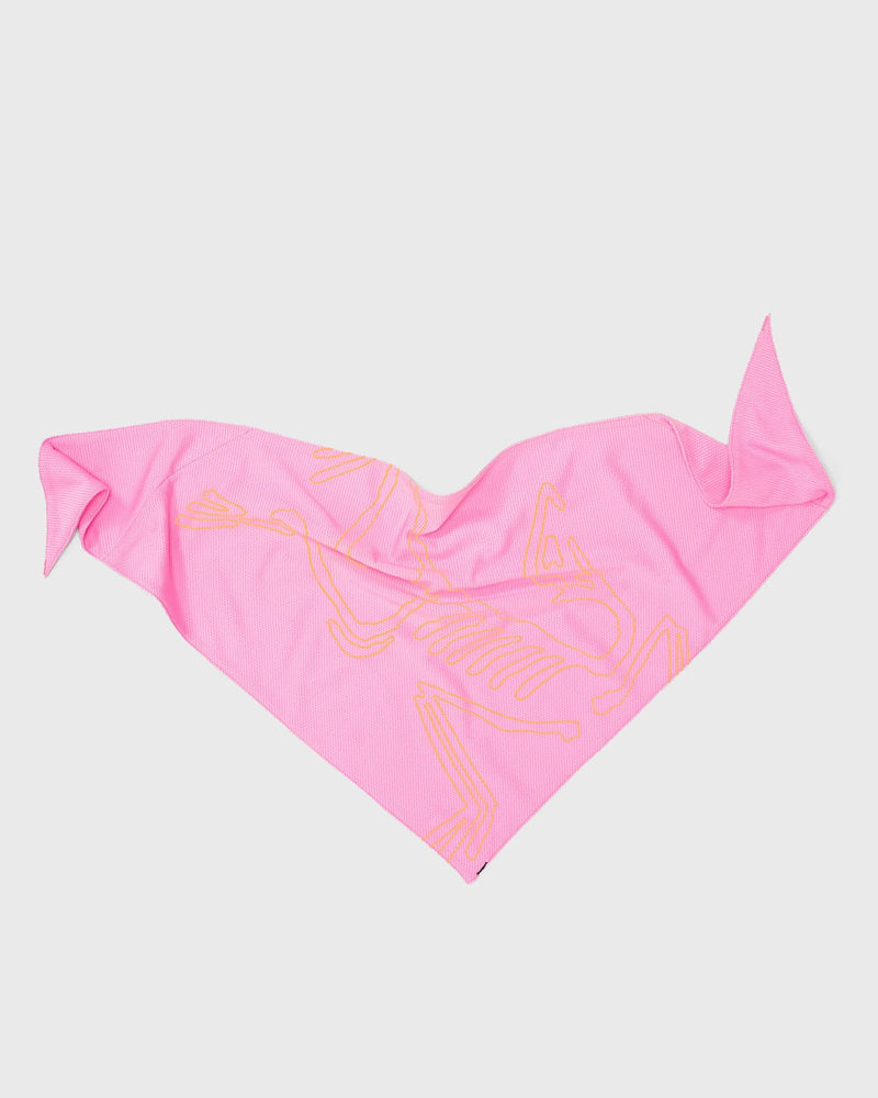 Arc´teryx Womens Sinsolo Bandana Pink