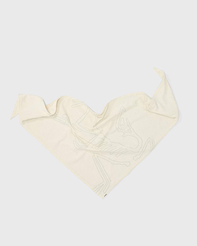 Arc´teryx Womens Sinsolo Bandana White