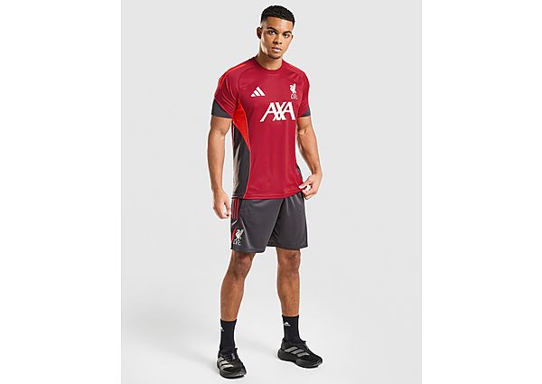 adidas Liverpool FC Tiro 25 Training Shorts black