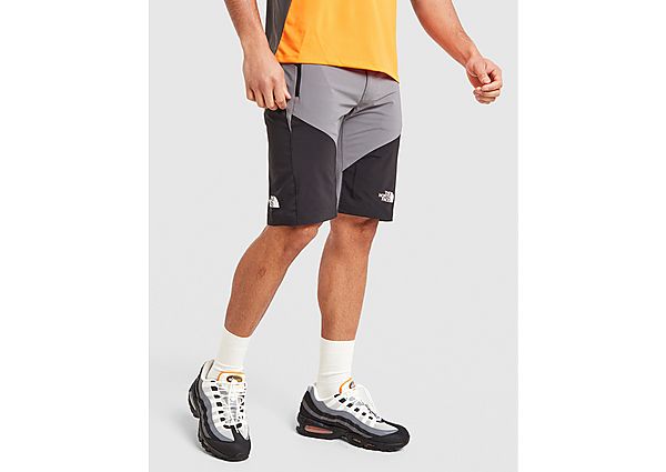 The North Face Felik Shorts black