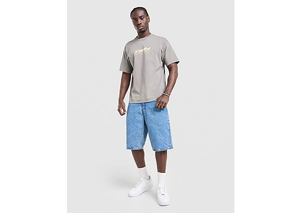 LEVI\'S Skate Wish T-Shirt grey