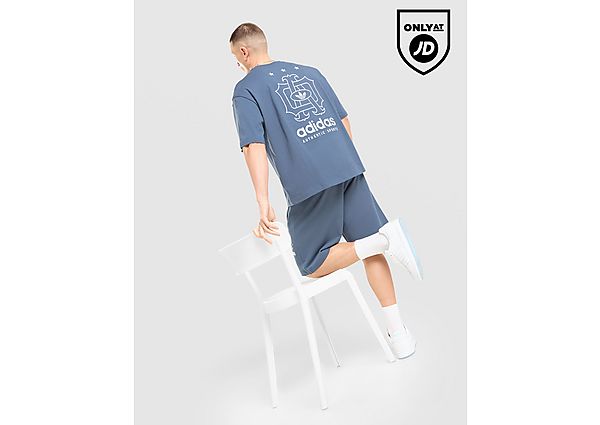 adidas Originals Embroidered Oversized T-Shirt blue
