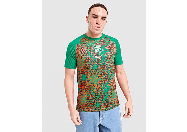 PUMA Ivory Coast 2026 Warm Up Shirt green