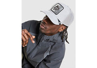 Goorin Bros Bull Cap grey