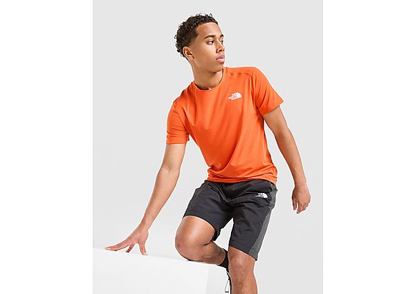 The North Face Alpine T-Shirt red