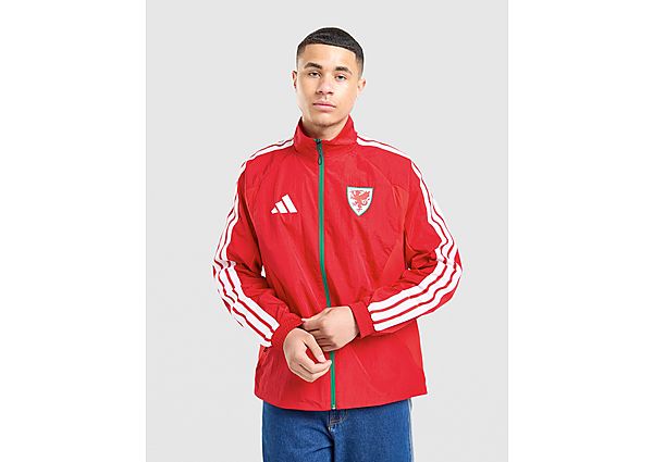 adidas Wales 2026 Anthem Jacket red