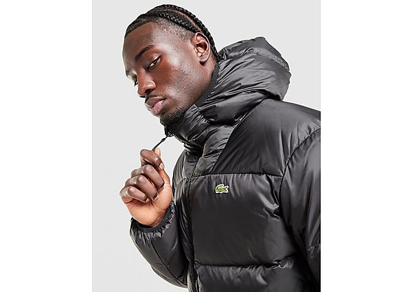 Lacoste Back Crocodile Padded Jacket black