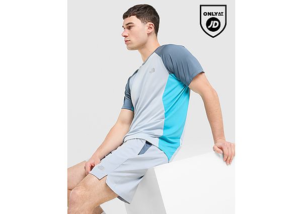 The North Face Performance T-Shirt grey