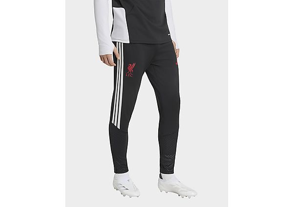 adidas Liverpool FC Tiro 26 Training Track Pants black