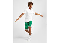 Nike NBA Boston Celtics Swingman Shorts green